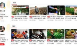 三农视频爆料在哪里,探寻农村发展新动向